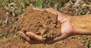 تفسير رؤية الطين في المنام ومعناه معلومة ثقافية