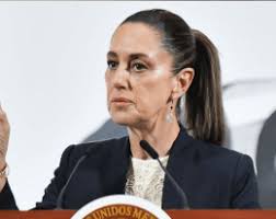 Continúa Elisa Rivera Elizalde buscando el voto