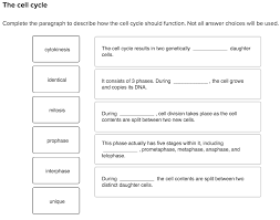 Answer key for student exploration cell division can be taken as capably as picked to act. Solved The Cell Cycle Complete The Paragraph To Describe Chegg Com