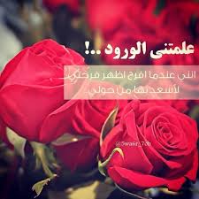 صور بوكيه ورد هو من اكثر الصور انتشارا علي مواقع التواصل الاجتماعي حيث يعتبرها البعض من افضل الزسائل للترحيب بالاشخاص سواء في بدايه التعارف او في اي وقت اخر. ÙƒÙ„Ù…Ø§Øª Ø¹Ù† Ø§Ù„ÙˆØ±Ø¯ Ø§Ø¬Ù…Ù„ Ø¹Ø¨Ø§Ø±Ø§Øª Ø¹Ù† Ø§Ù„ÙˆØ±Ø¯ ØµÙˆØ± Ø¨Ù†Ø§Øª