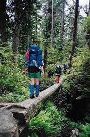 Your Guide To Trekking The Epic West Coast Trail On Vancouver Island West Coast Trail West Coast Juan De Fuca Trail