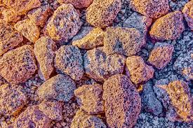 Todo dependerá de la especie pero, a grandes. Piedra Pomez Para Preparar Tierra Para Cactus Cactus Y Suculentas Cuidado De Suculentas Suculentas