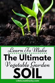 Nov 27, 2020 · if the soil feels dry, add water; How To Prepare Awesome Soil For Your Vegetable Garden Life Is Just Ducky
