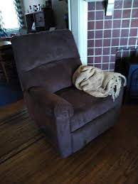 Read honest and unbiased product reviews from our users. Signature Design By Ashley Furniture Riley Recliner Tan 1 Ct Fred Meyer