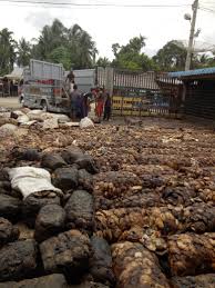 Harga produk kami insyaalloh sangat kompetitif. Harga Karet Anjlok Rp 6000 Kg Petani Karet Menjerit