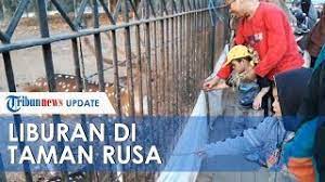Check spelling or type a new query. Isi Libur Lebaran Taman Rusa Kemang Pratama Bekasi Bisa Jadi Alternatif Anda Youtube