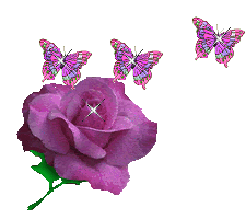 Butterfly E Rosa Roxa Imagens Borboletas Imagens De Flores