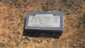 Headstone Information and Pictures for ALL Jack County TX Cemeteries  Alphabetical R-S
