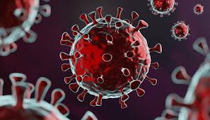 Get the answers here, with data on hotspots and infection rates. Coronavirus Two New Covid 19 Cases In Miq None In Community Risk From Perth Cases To Nz Low Newshub