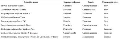 Image result for Amblygonocarpus