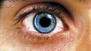 Requiem For A Dream Darren Aronofsky Full Movies Streaming Movies Free