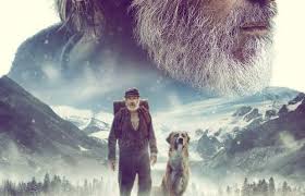 There are two minor annoyances in this movie, but they didn't bother me that much. Tamilrockers Strikes Again Hollywood Horror Thriller The Call Of The Wild Leaked Online Full Movie Available For Free Download Zee Business