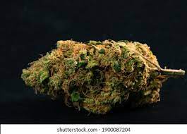 Weed Heads High Res Stock Images Shutterstock