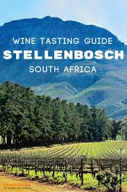 Top Things To Do In Stellenbosch Wine Tasting Restaurants Family Activities And Where To Stay South Africa Travel Africa Travel Africa Travel Guide