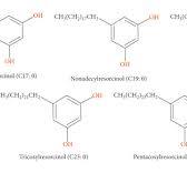 Alkylresorcinol found in wheat, rye, and Triticum aestivum ...