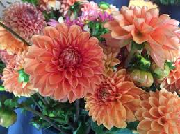 Our goal is to help floral designers, event planners, flower wholesalers, florists, brides and others find flowers! Piedmont Wholesale Flowers Home Facebook