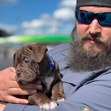 Average Dave Outdoors