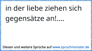 In Der Liebe Ziehen Sich Gegensatze An Spruchmonster De