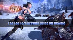 Wed jul 04, 2018 3:42 am. The Top Tera Brawler Guide For Newbie
