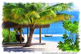 Wenn man seinen seychellen urlaub planen möchte, ist es ratsam sich vorher ein bisschen über das reiseziel zu informieren. Seychellen Urlaub Mit Asiago