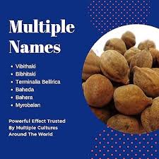 Image result for Terminalia bellirica