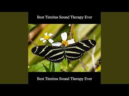 Best Tinnitus Sound Therapy Ever Youtube