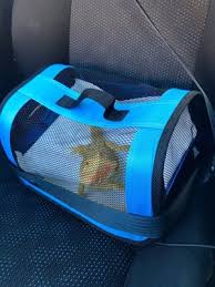 Manage pets' health schedules, view upcoming appointments, or follow up on healthcare recommendations. Valley View Pet Hospital 12 Reviews Veterinarians 13600 County Road 11 Burnsville Mn Phone Number Yelp