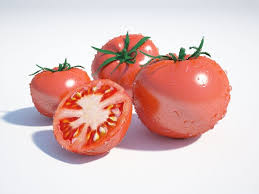 Tomatoes 3d Model Tomato 3d Model Food