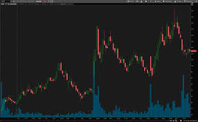 Shiba inu is down 5.41% in the last 24 hours. Jdidcjkjkhejvm