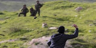 gazze g&Atilde;&para;sterileri ile ilgili g&Atilde;&para;rsel sonucu