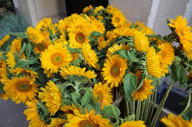 We did not find results for: B Floral S Guide To The New York City Flower Market