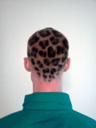 Unfollow animal print hair clips to stop getting updates on your ebay feed. Spotted Men Hair Color Leopard Print Hair Leopard Hair
