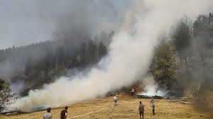 Yangın, orman yangını olarak algılanınca da kısa süreli paniğe neden oldu. Dy3y B2iyiqb M