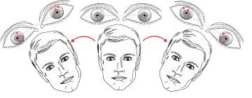 Image result for Oculovestibular Testing