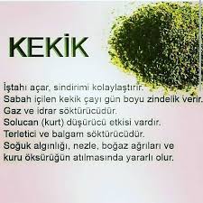 Pin By Turgay Senol On Cilde Faydalari Nelerdir In 2020 Health Herbs Food