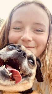 Dog adopted from foster care