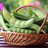 Image result for Canavalia ensiformis