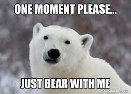 One Moment Please Just Bear With Me Popular Opinion Polar Bear Make A Meme
