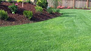 Regular lawn maintenance can do wonders for your home's curb appeal. Knowing The Difference Between Landscape And Lawn Care Services Will Help You Choose The Right Landscaping Company For You