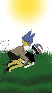 Кто твоя девушка из кантрихуманс? Ukraina I Ssha Countryhumans Amino