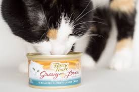 Is Fancy Feast Good For Cats The Answer Might Surprise You