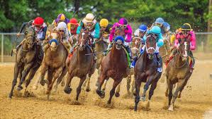 Post Preakness Stakes Three Heating Up Three Cooling Down