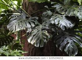 ✓ free for commercial use ✓ high quality images. Pin On Photography