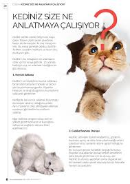 Meoow Dergi Nisan 2015 By Meoow Dergisi Issuu