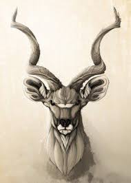 Animal Animals Illustration Wild Nature Impala Kudu African Animal Drawings Animal Art Animal Illustration