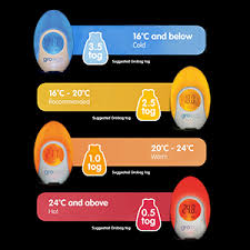 The Gro Company Groegg Colour Changing Room Thermometer