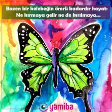 Hayat Kisa Kuslar Ucuyor Kelebekler De Ucmali Www Yamiba Com Kelebekler Kus Kis