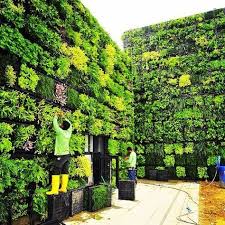 Vertical Gardening Isn T Only Productive Its Also Beautifullike And Tag A Friend Vertical Garden Vertical Farming Urban Garden