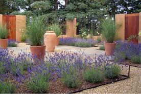 A Contemporary Provencal Courtyard Drought Tolerant Landscape Drought Tolerant Garden Xeriscape