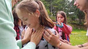 Tabere de neuitat cu wind discovery! Tabere De Zi 2019 Teatru È™i Jonglerii Cluj Com